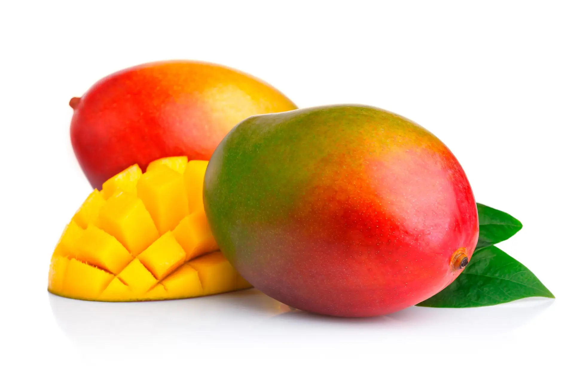 Mango Agrolife