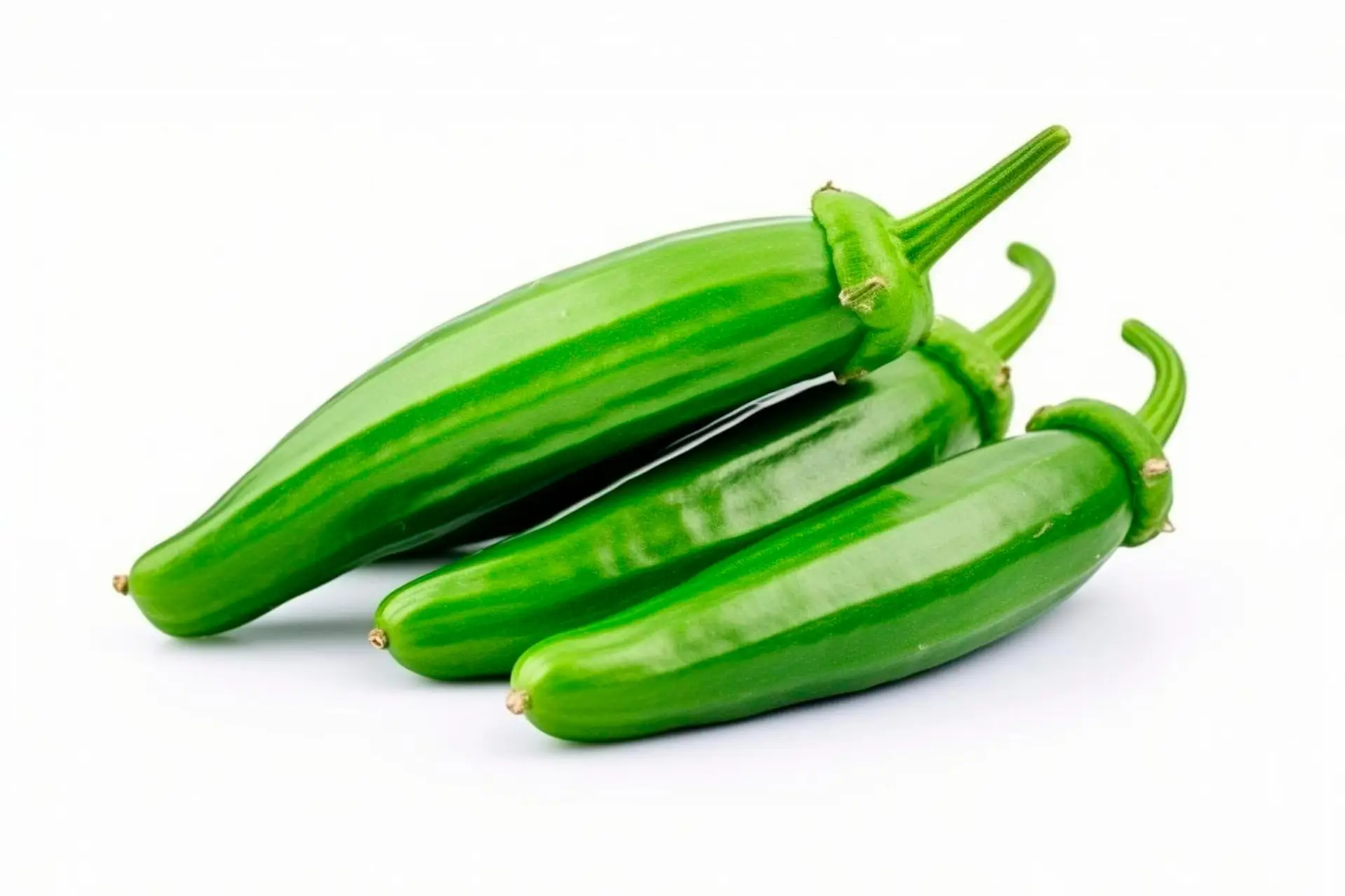 Okra Agrolife