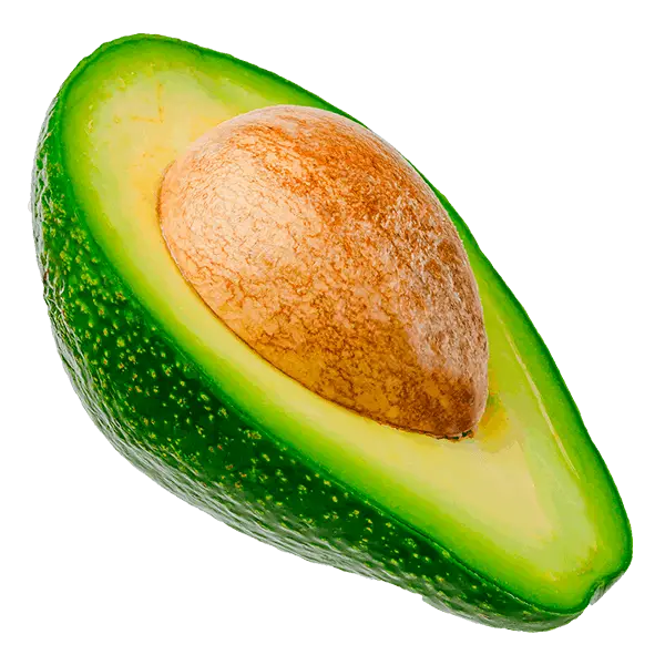 Aguacate Agrolife