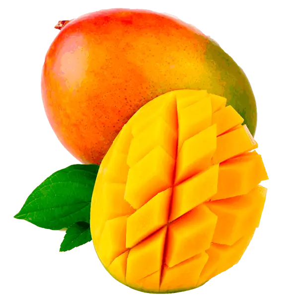 Mango Agrolife