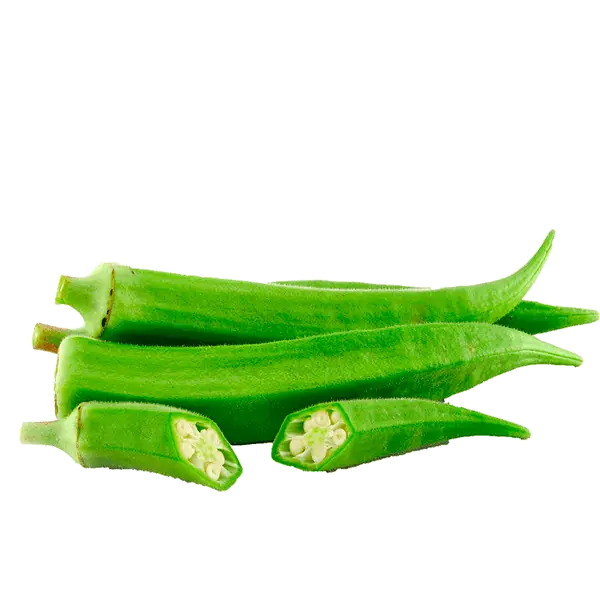 okra Agrolife