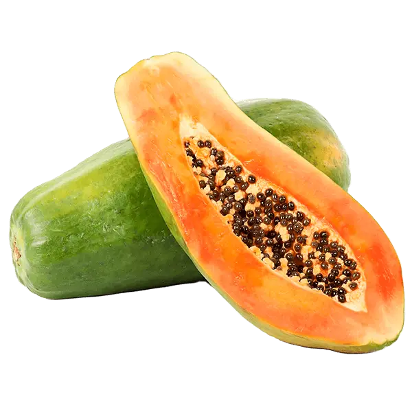 Papaya Agrolife