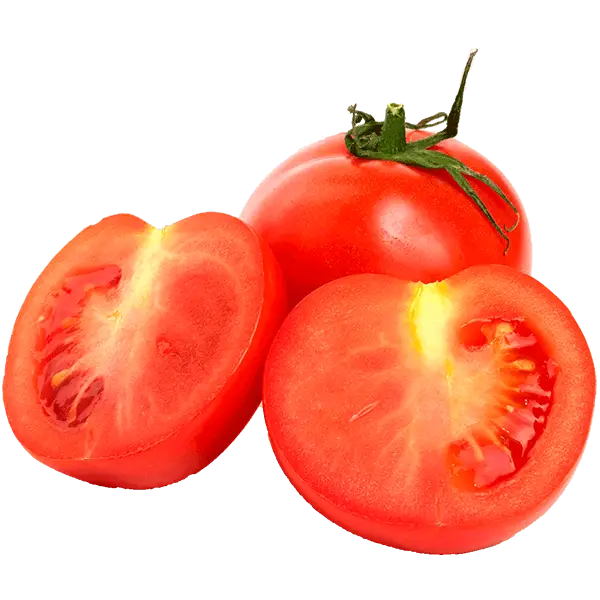 Tomate agrolife